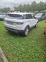 Land Rover Range Rover Evoque 5p 2.0 ed4 Pure 150cv my19 - thumbnail 5