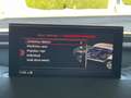 Audi Q7 3.0TDI Black line edition quattro Tip. 200kW Gris - thumbnail 35