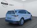Skoda Enyaq 60 Weiß - thumbnail 6