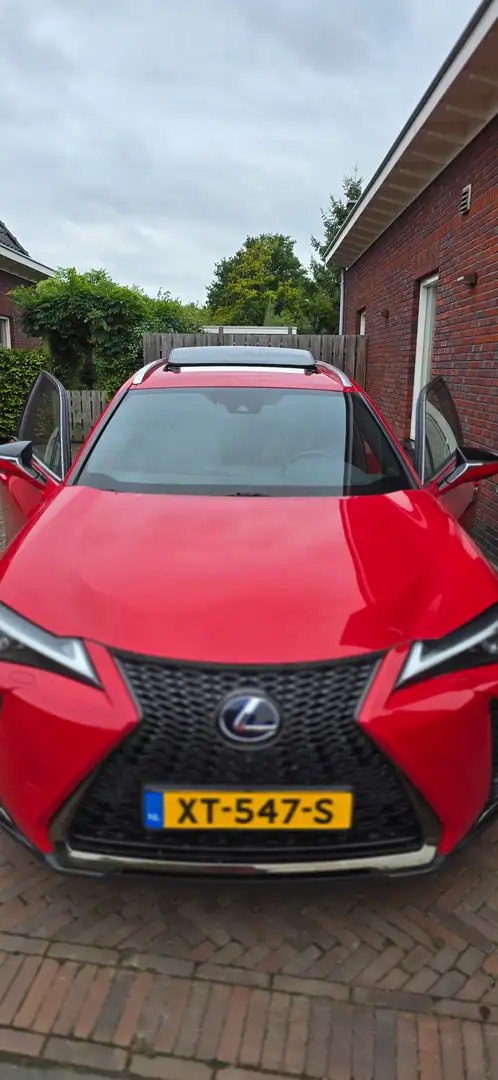 Lexus UX 250h AWD F Sport Premium | Full Leder | President pack Rood - 2