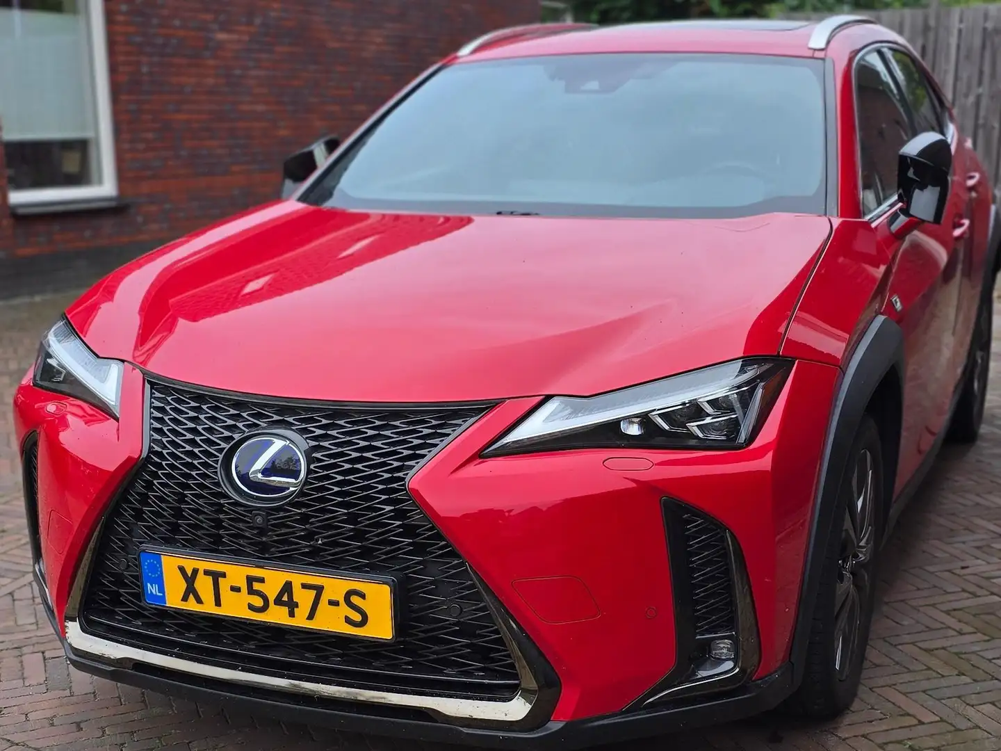 Lexus UX 250h AWD F Sport Premium | Full Leder | President pack Rood - 1