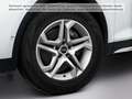 Audi Q5 40 TDI quattro S tronic advanced Weiß - thumbnail 8