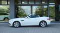 Mercedes-Benz SLK 250 CDI Sport Weiß - thumbnail 3