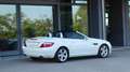 Mercedes-Benz SLK 250 CDI Sport Weiß - thumbnail 4