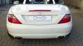 Mercedes-Benz SLK 250 CDI Sport Weiß - thumbnail 20