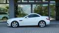 Mercedes-Benz SLK 250 CDI Sport Weiß - thumbnail 16