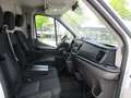 Ford Transit 350 TDCi L2H2, Trend Weiß - thumbnail 10
