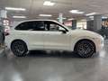 Porsche Cayenne 3.0 TD Tiptronic Blanco - thumbnail 12