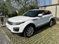 Land Rover Range Rover Evoque 5p 2.2 td4 Launch edition 150cv - thumbnail 2