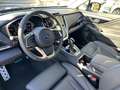 Subaru OUTBACK 2.5i Premium CVT | MY25 | Safe8 Gris - thumbnail 13