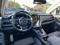 Subaru OUTBACK 2.5i Premium CVT | MY25 | Safe8 Gris - thumbnail 16