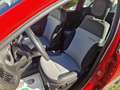 Fiat Panda III  CROSS 1.0 firefly hybrid (Red) SCHERMO GRANDE Rosso - thumbnail 15
