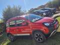Fiat Panda III  CROSS 1.0 firefly hybrid (Red) SCHERMO GRANDE Rosso - thumbnail 4