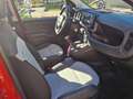 Fiat Panda III  CROSS 1.0 firefly hybrid (Red) SCHERMO GRANDE Rosso - thumbnail 9