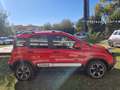 Fiat Panda III  CROSS 1.0 firefly hybrid (Red) SCHERMO GRANDE Rosso - thumbnail 1