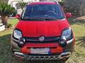 Fiat Panda III  CROSS 1.0 firefly hybrid (Red) SCHERMO GRANDE Rosso - thumbnail 3