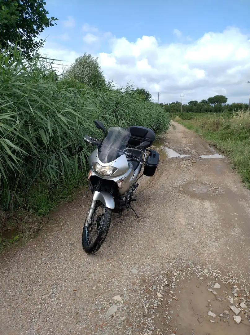 Honda Transalp 650 Xlv Grigio - 1