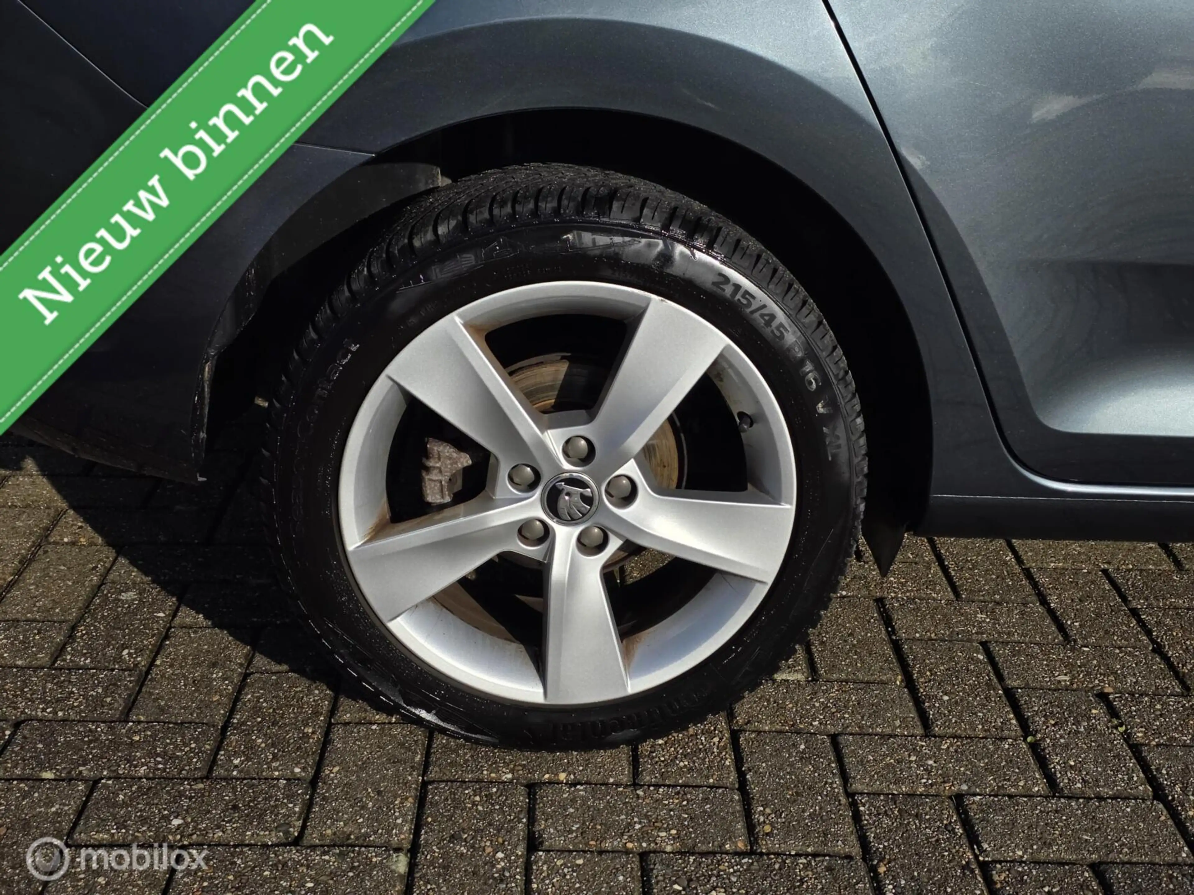 Skoda Rapid/Spaceback 1.0 TSI Greentech Clever — photo 3