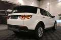 Land Rover Discovery Sport 2.0 TD4 EURO 6d / AUTO / CAMERA / CARPLAY !! Weiß - thumbnail 5