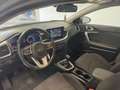 Kia Ceed / cee'd SW 1.4 mpi Business Class Adas Pack eco gpl 96cv - thumbnail 10