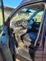 Volkswagen T6 Multivan California/Multivan Comfortline LANG - thumbnail 9