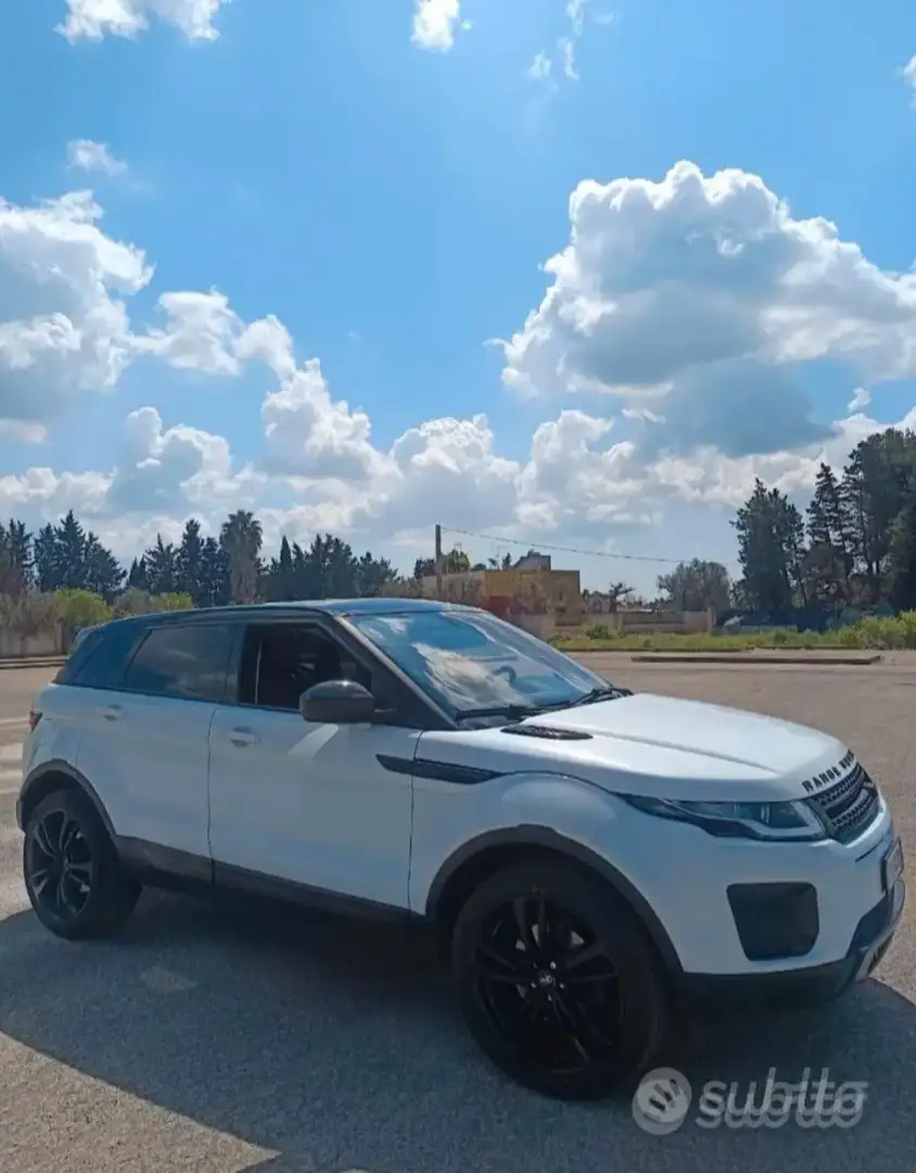 Rover Rover dinamyc - 2