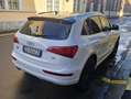 Audi Q5 Q5 I 2008 2.0 tdi quattro 170cv s-tronic dpf Wit - thumbnail 8