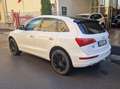 Audi Q5 Q5 I 2008 2.0 tdi quattro 170cv s-tronic dpf Wit - thumbnail 11
