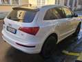 Audi Q5 Q5 I 2008 2.0 tdi quattro 170cv s-tronic dpf Wit - thumbnail 10