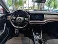 Skoda Octavia Combi 2.0 TDI DSG 4x4 Scout 8-fach PDC Zwart - thumbnail 7