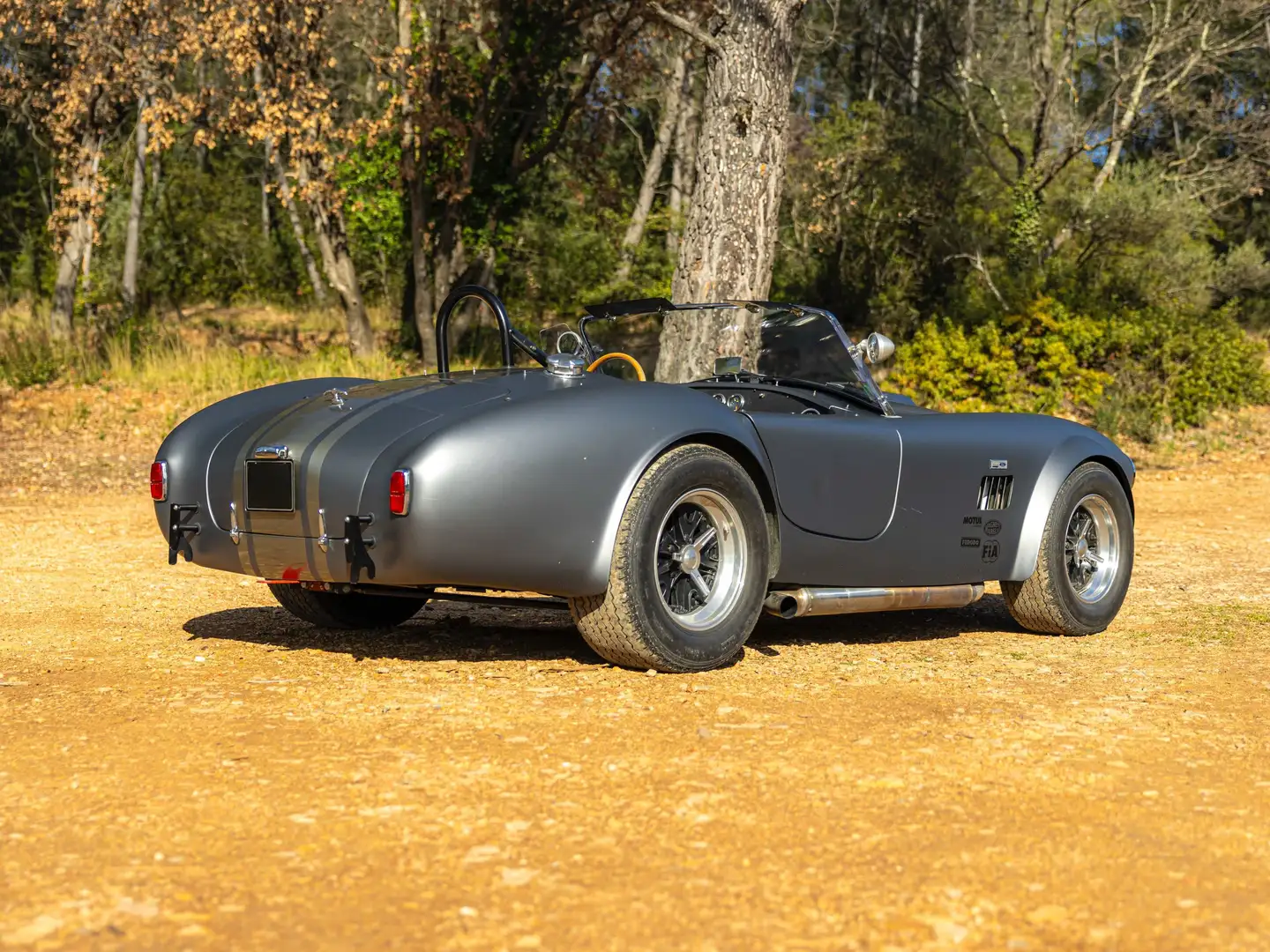 AC Cobra 289 Unique Motorcars 1980 Gris - 2