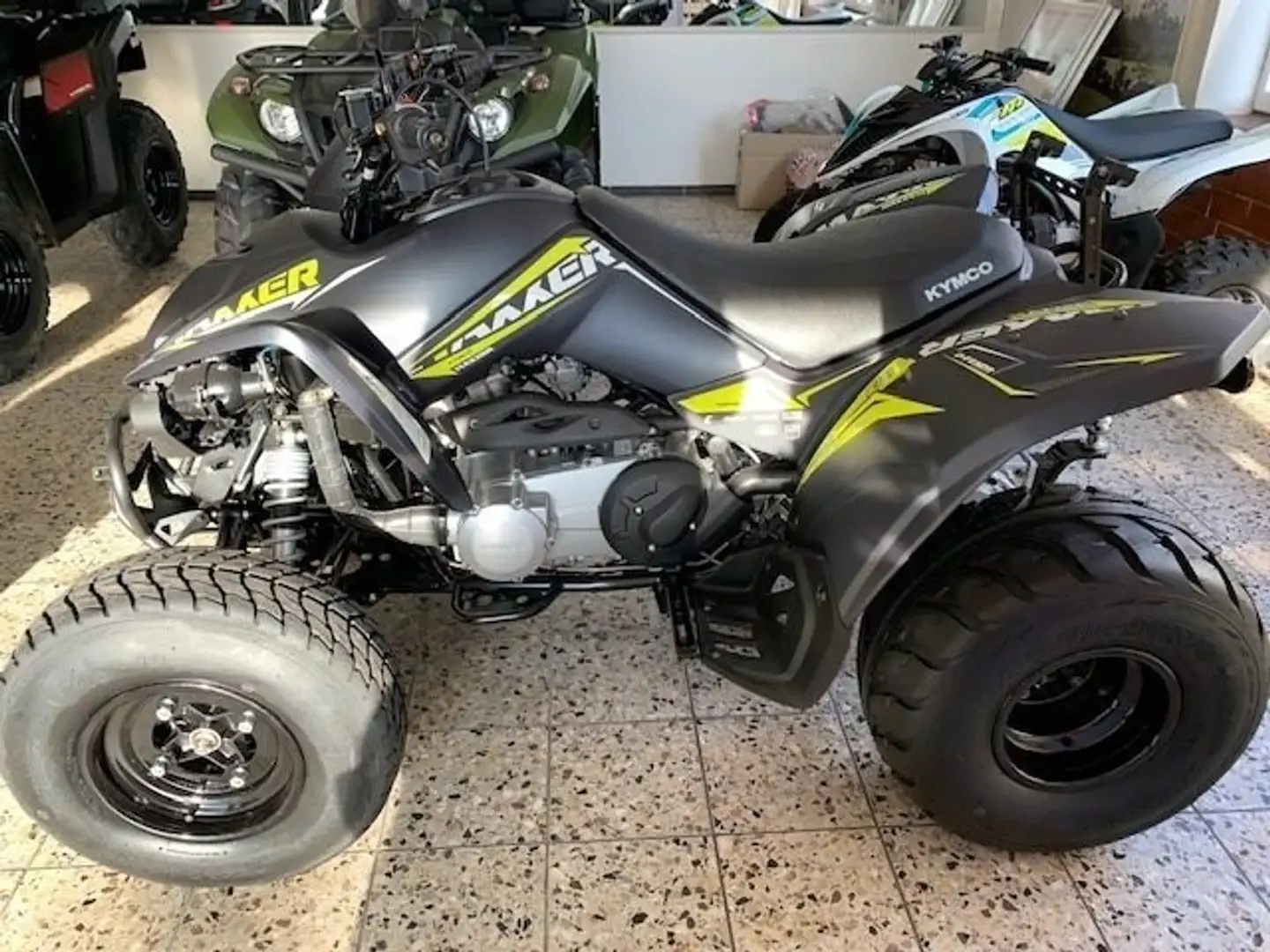Kymco Maxxer 300 Gris - 1