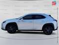 Lexus UX 300h 300h Luxe 2WD Blanc - thumbnail 8