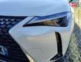 Lexus UX 300h 300h Luxe 2WD Blanc - thumbnail 12