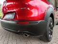 Mazda CX-30 e-Skyactive G150 Homura Rot - thumbnail 13