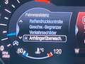 Ford Galaxy Titanium 2.0 EcoBlue +AHK+CAM+CARPLAY+ Blau - thumbnail 10