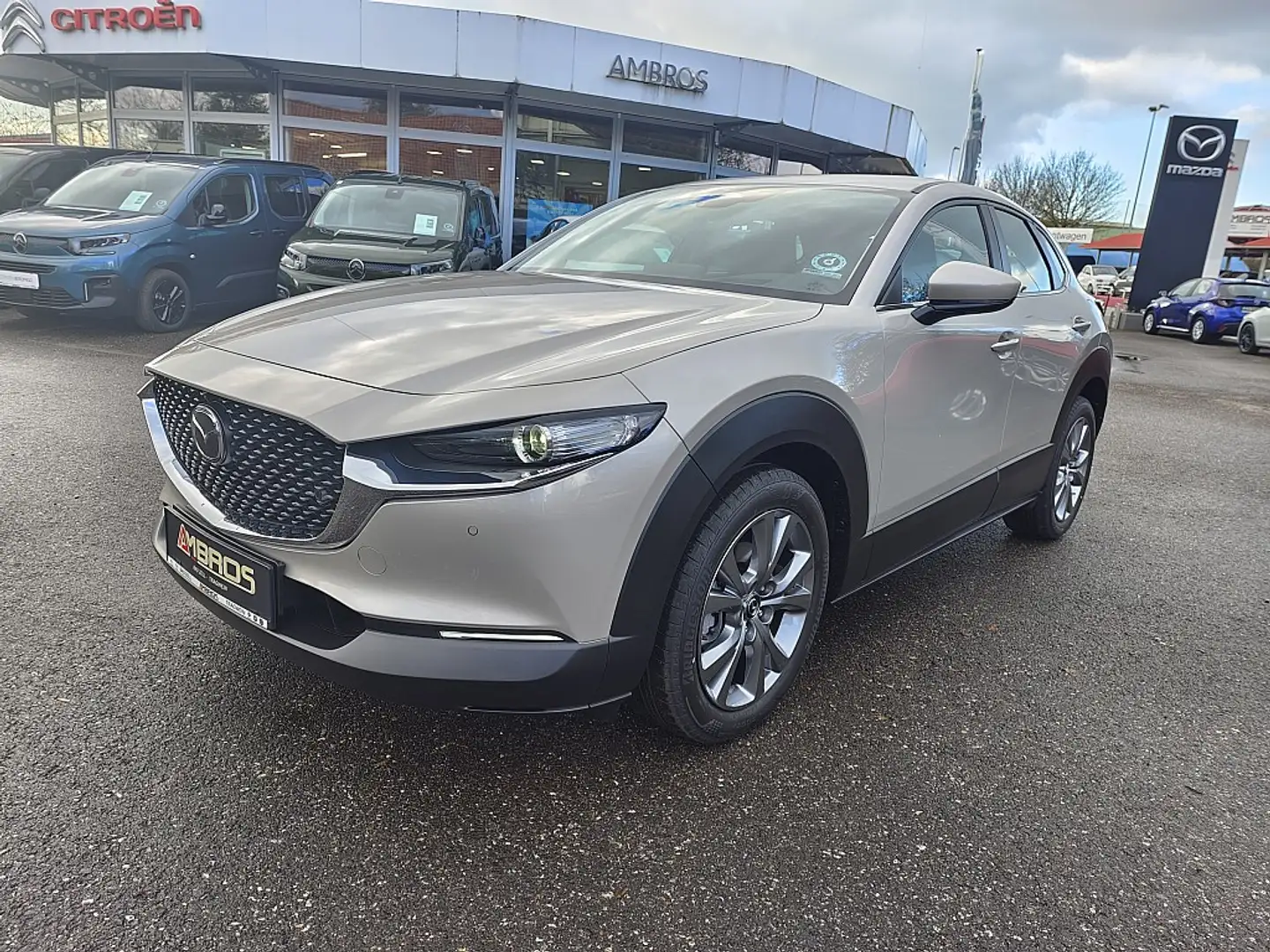 Mazda CX-30 e-Skyactive G140 Centre-Line + DASO AKTION Beige - 1