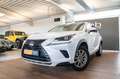 Lexus NX 300h AUTOM, LED, CAMERA, BT, ZETELVERW, DRIVER ASSIST Beyaz - thumbnail 1