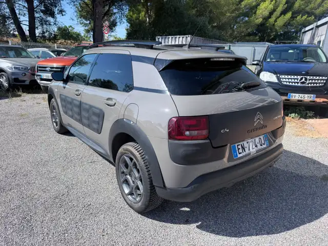 Citroen C4 Cactus view 3