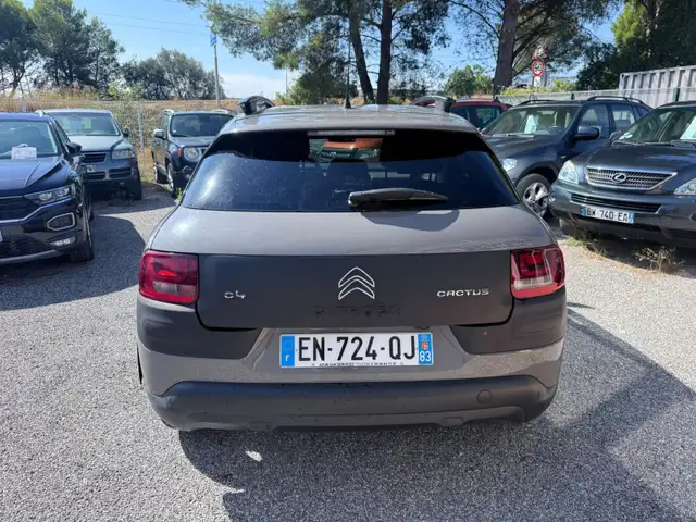 Citroen C4 Cactus view 4