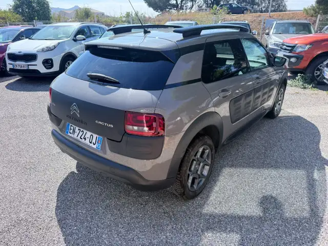 Citroen C4 Cactus view 6