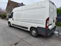 Citroen Jumper CHASSIS CAB 35 L2 HDi 130 CONFORT Blanc - thumbnail 5