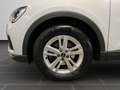 Audi Q3 SUV 35 TDI 110(150) kW(PS) S tronic Weiß - thumbnail 9