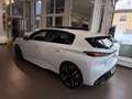 Peugeot 308 GT EXCLUSIVE Hybrid 145 e-DCS6 Weiß - thumbnail 4