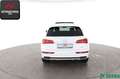 Audi Q5 2.0 TFSI qu 3x S LINE VIRTUAL,LUFT,PANORAMA Weiß - thumbnail 4