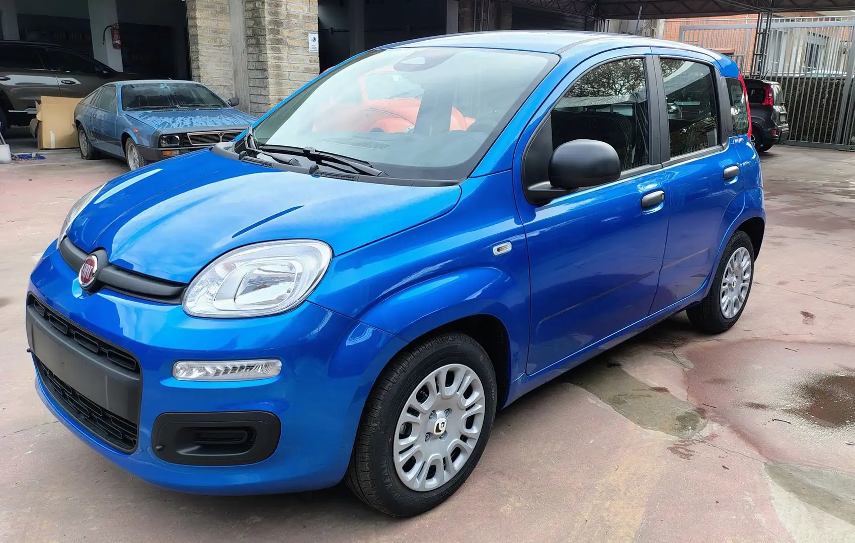 Fiat Panda 1.0 FireFly S&S Hybrid Blu/Azzurro - 1