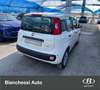 Fiat Panda 1.0 FireFly S&S Hybrid - thumbnail 7