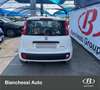 Fiat Panda 1.0 FireFly S&S Hybrid - thumbnail 6