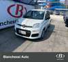 Fiat Panda 1.0 FireFly S&S Hybrid - thumbnail 1