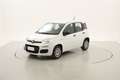 Fiat Panda Easy 1.2 Benzina 69CV Bianco - thumbnail 1